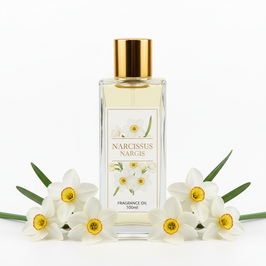 Nargis narcissus fragrance oil 100ml bottle with white narcissus flowers